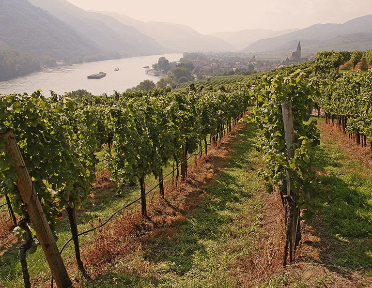 At the intersection of idyllic landscapes and regions of Wachau, Kamptal and Wagram © Othmar Bramberger