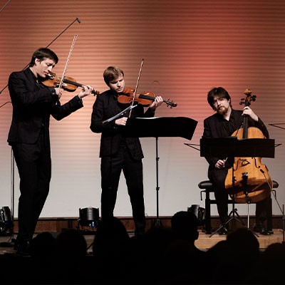 Chamber music experience